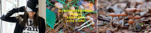 мяу мяу кристалл Алзамай