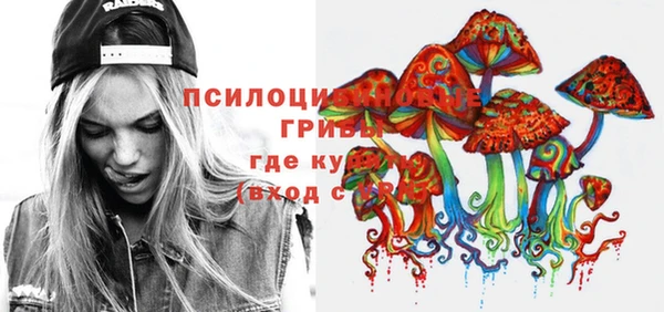метадон Алексин