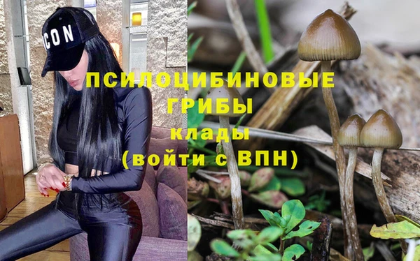 apvp Инсар