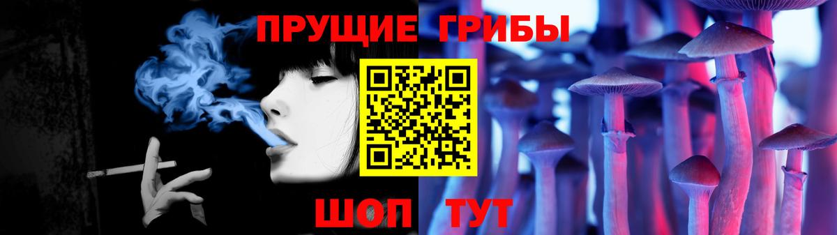 Псилоцибиновые грибы Psilocybe Нефтекамск